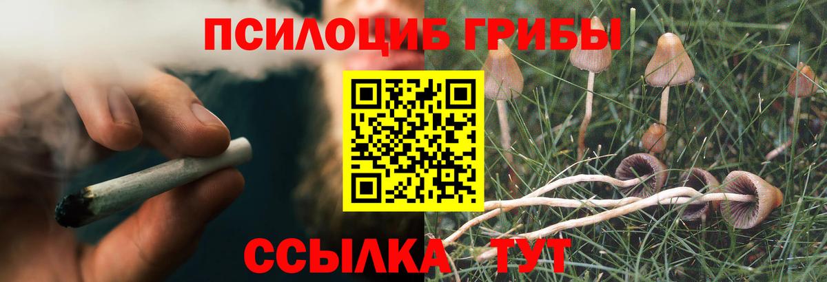 Лесозаводск  Галлюциногенные грибы GOLDEN TEACHER  Псилоцибиновые грибы ЛСД  Вход с VPN 